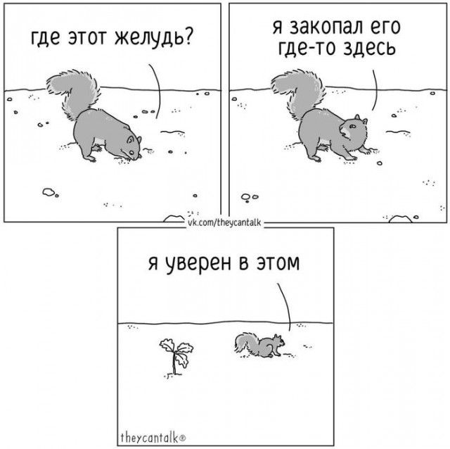 Картинки для деградации 149 (разной степени свежести)