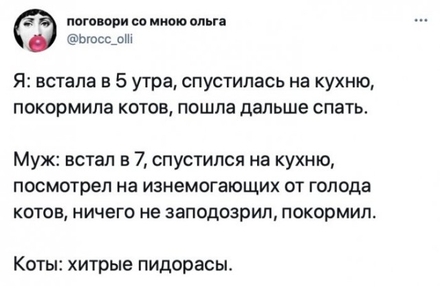 Веселые картинки в маленькую пятницу (04.03)