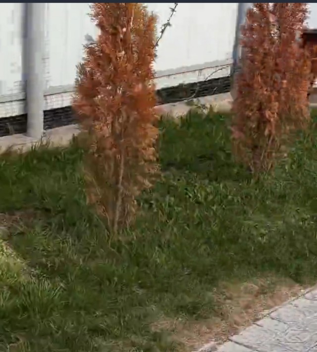 Показала настоящее богатство