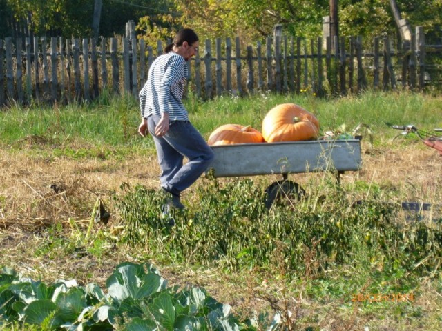 В детстве не любил Дачу и Огороды., НО! Был бы у меня такой транспорт...