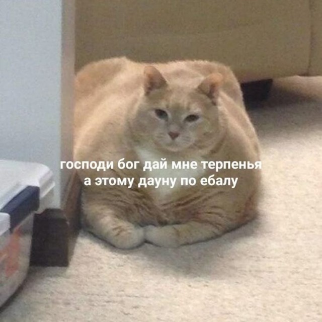 Ты с ума сошла, Наташа?