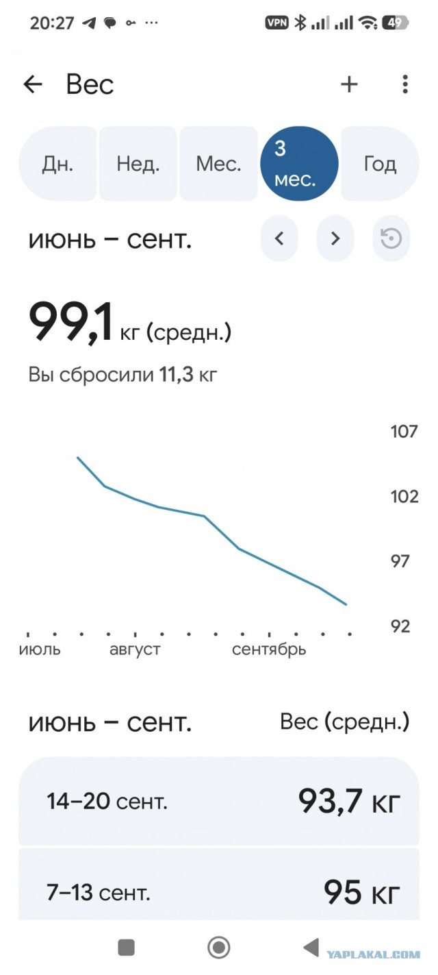 Сажусь на диету из-за брылей и живота с чего лучше начать