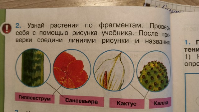 Учебник 1 класс. Похоже писал сумасшедший
