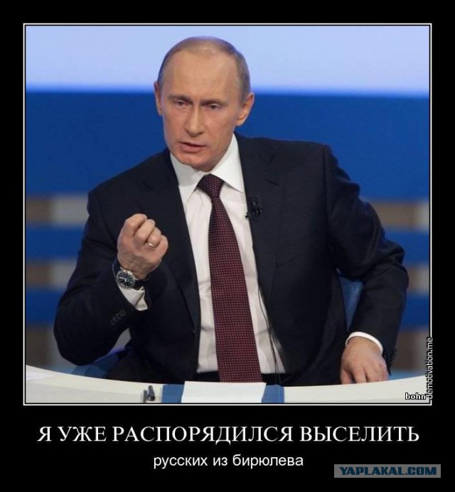 Путин достал... нациков за Бирюлево