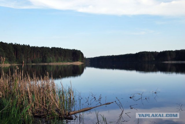 Путешествуем по г.Житомир Украина и его окресности