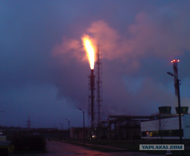 Главный олимпийский факел в Сочи