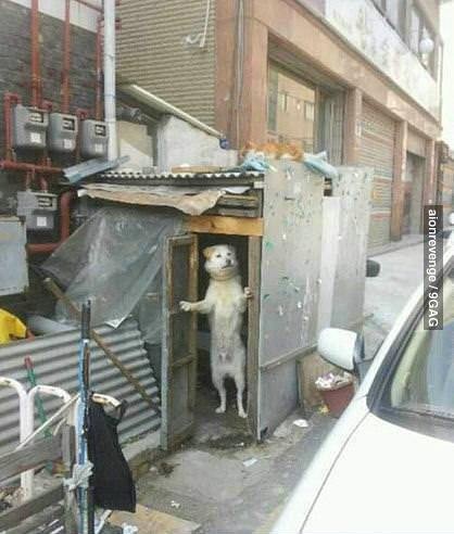 А вы к кому?