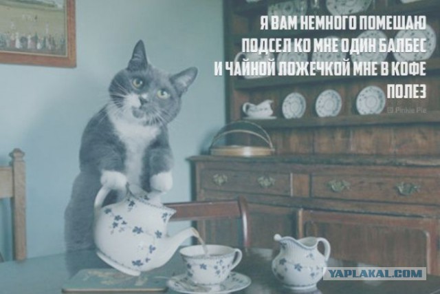 Мысли: кратко - но ёмко
