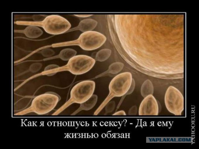 Поднимаем настроение