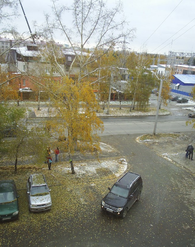 Сибирь матушка! а что у вас за окном?