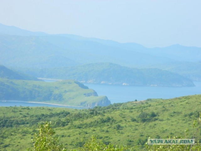 Бухта Теляковского