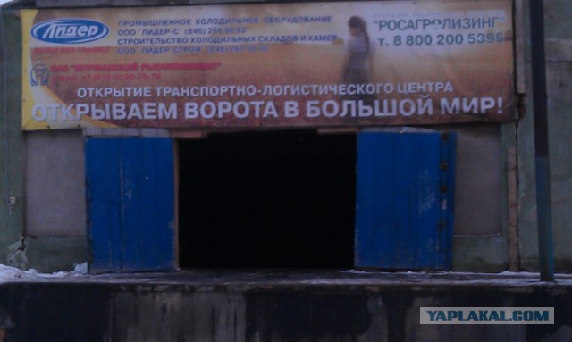Весёлое из сети