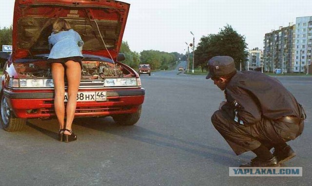 Прикольные картинки.