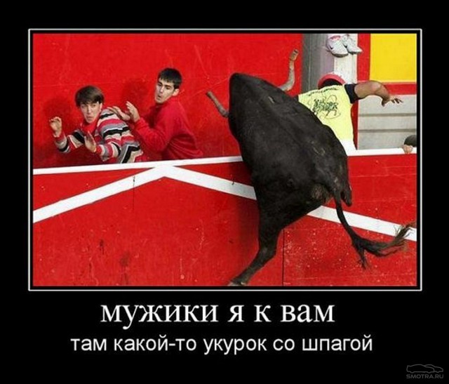 Картинки