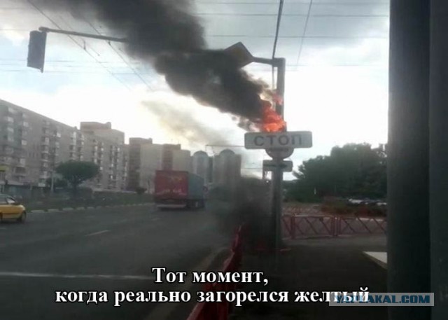 Прикольные картинки из сети