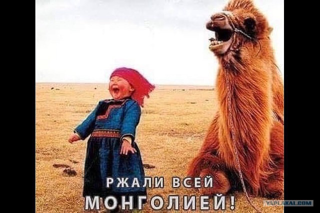Как вы были задержаны? Блестяще!