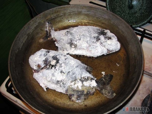 Все из рыбы!