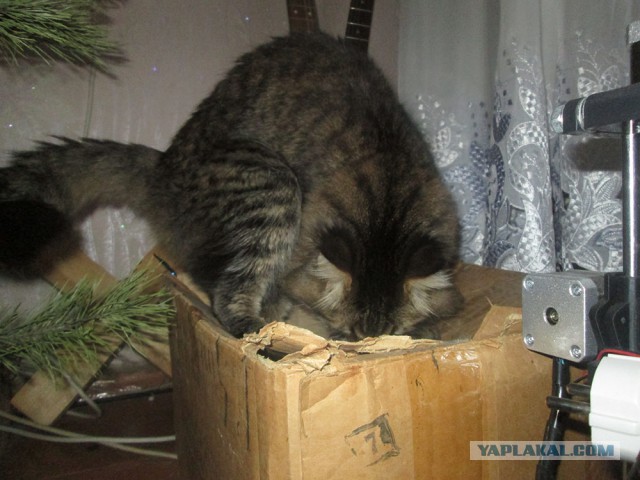 Подборка картинок 21.02.16