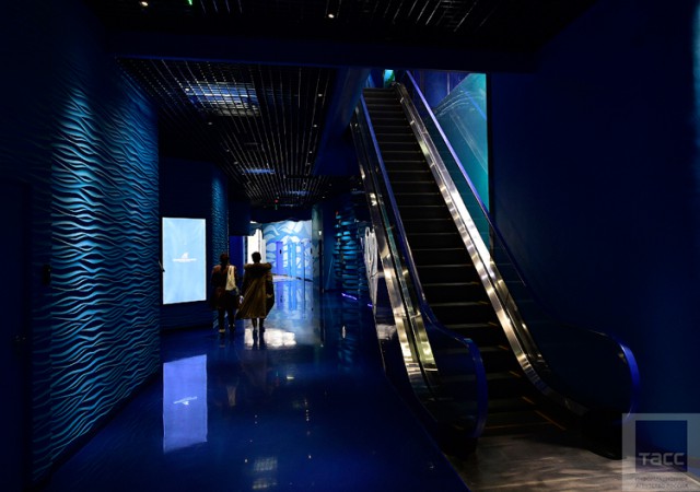 Подготовка к открытию Приморского океанариума на острове Русский во Владивостоке (Часть 2)