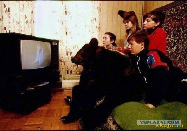 Как девушка коляску даром отдавала