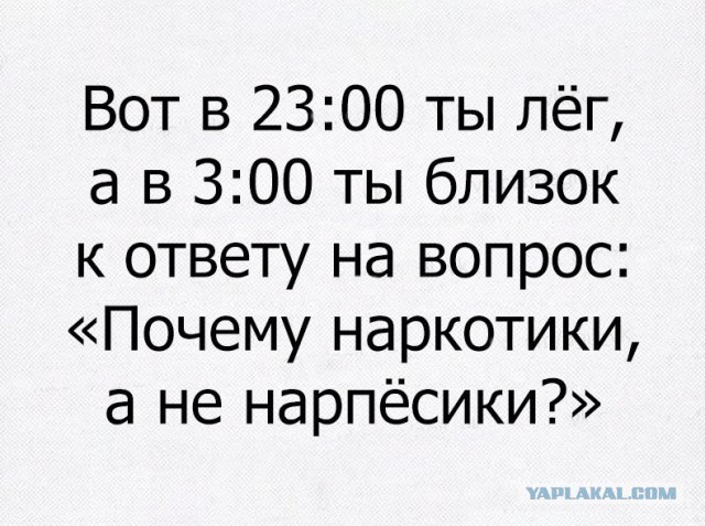 Смешные комментарии и картинки на новогоднюю и околоновогоднюю тематику