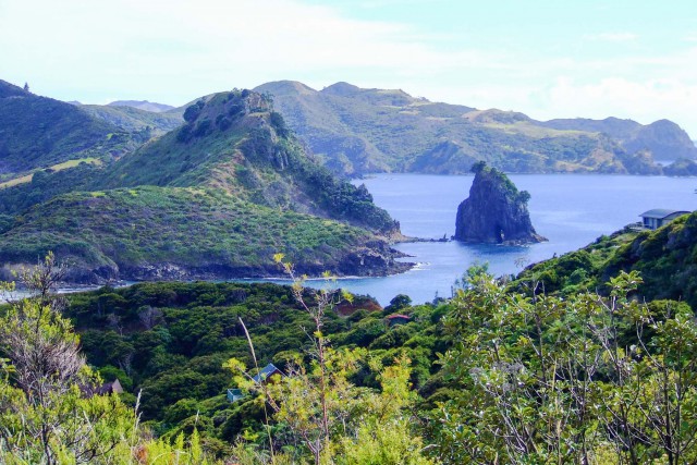 Great Barrier Island. Новая Зеландия.