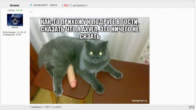 Немного странных картинок.