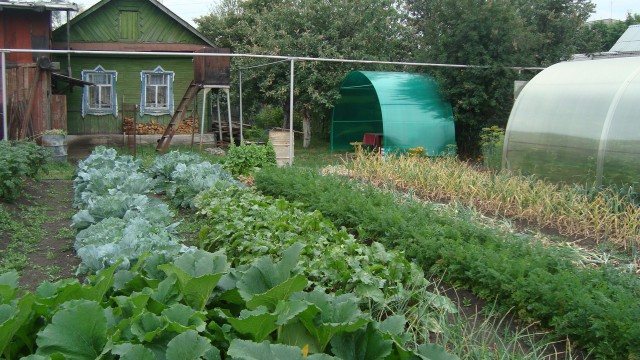 Моя стройка, как часть жизни. Часть первая. 2009-2012.