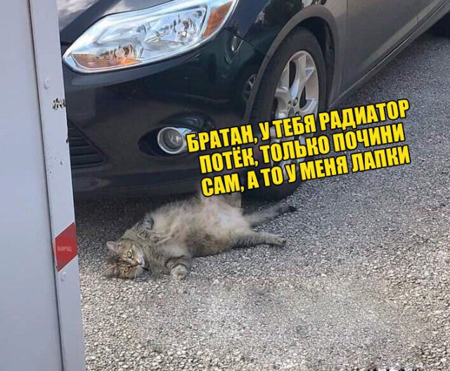 Подборка интересных и веселых картинок