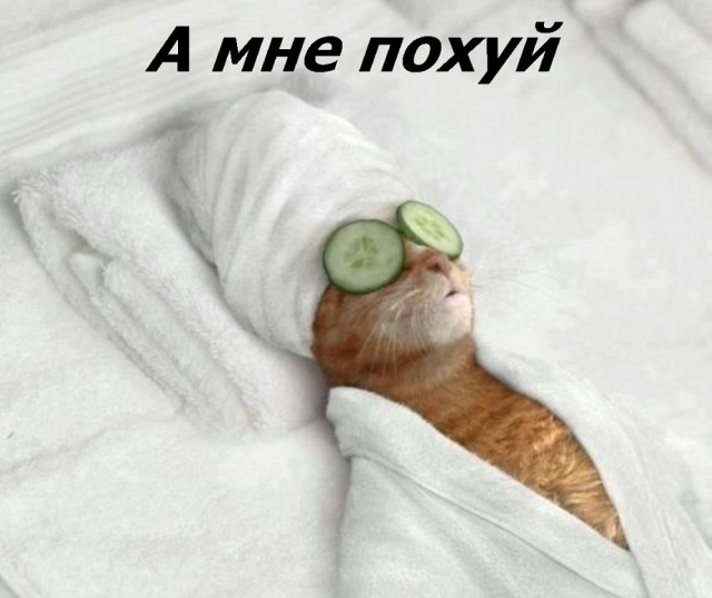 Арест Михаила Саакашвили в Киеве
