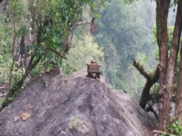 К живым мостам и обратно. Заметки из Индии