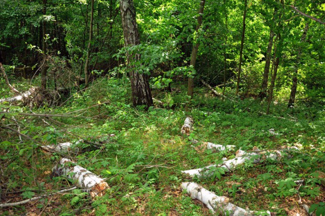 Просто Природа