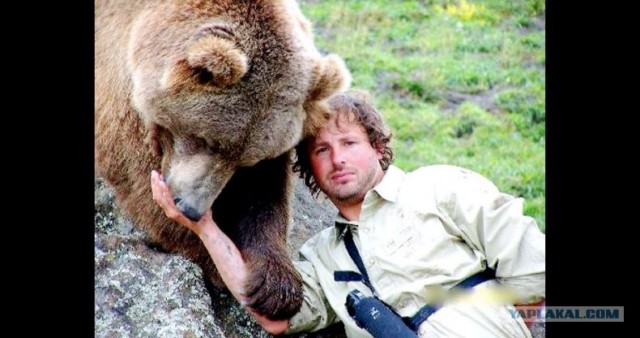 Медведь в доме (23 фото)