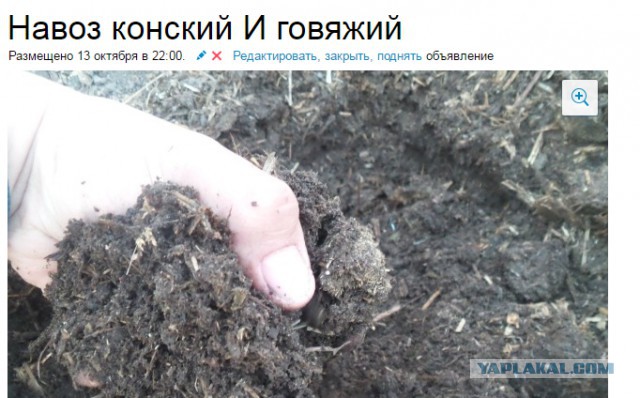 Авито: продастся всё!