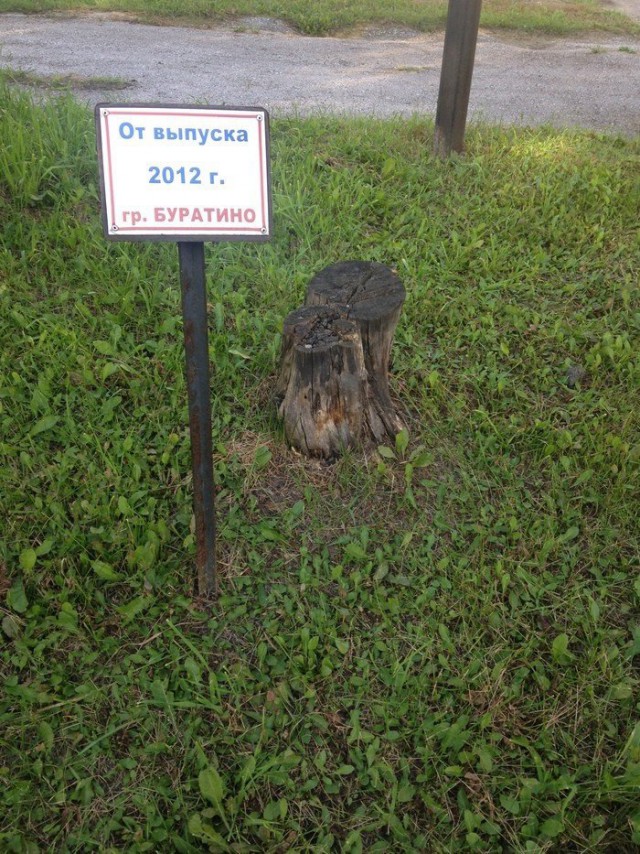 Нестандартный юмор