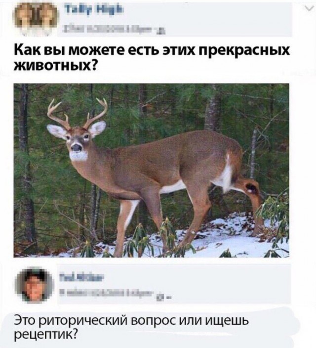 Не очень адекватный юмор