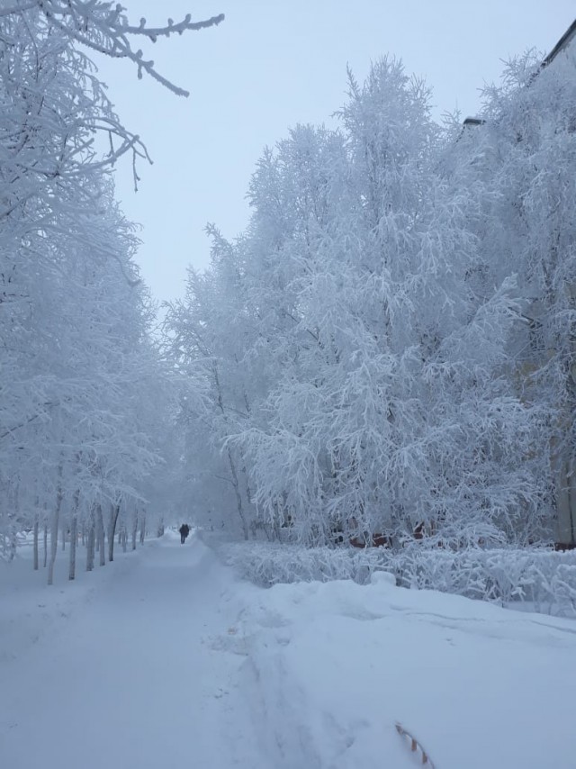 Сургут 01.02.2019, несколько фотографий