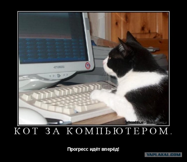 Топ 9 самых часто встречающихся камментов на ЯПе