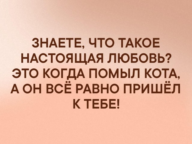 Немного картинок для настроения 25.10.19