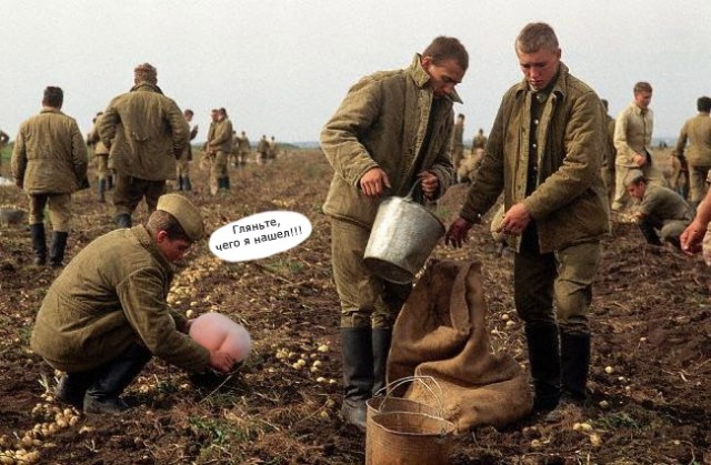 Фотожаба: Жопоколобок