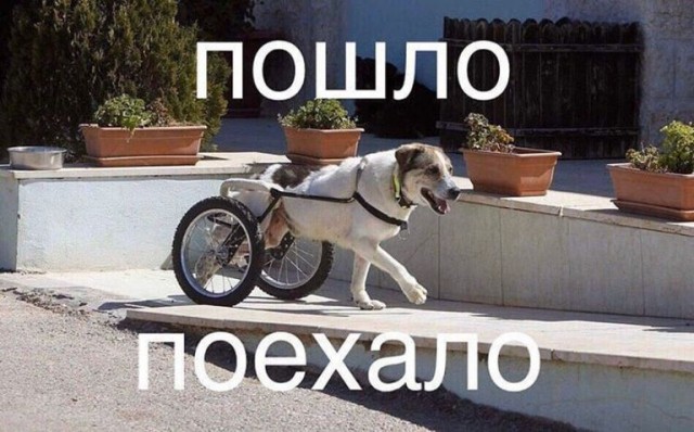 Чёрный пост