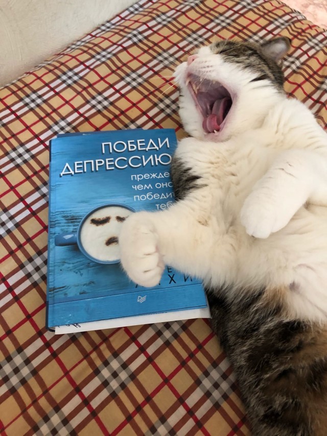 Зверушки