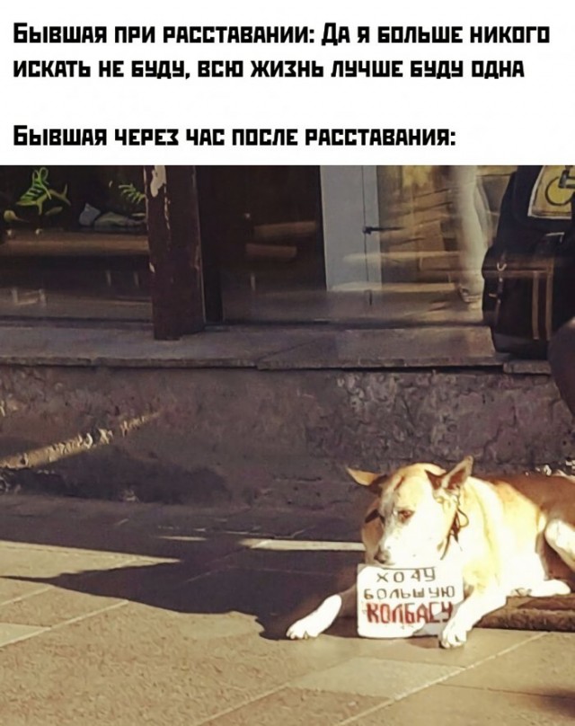 Немного картинок для настроения 21.06.20