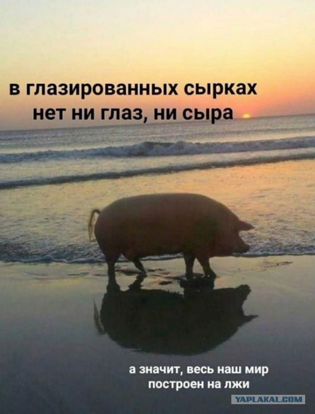 Немного картинок для настроения 04.10.20