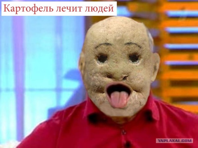 Фотожаба: И все таки они точно среди нас