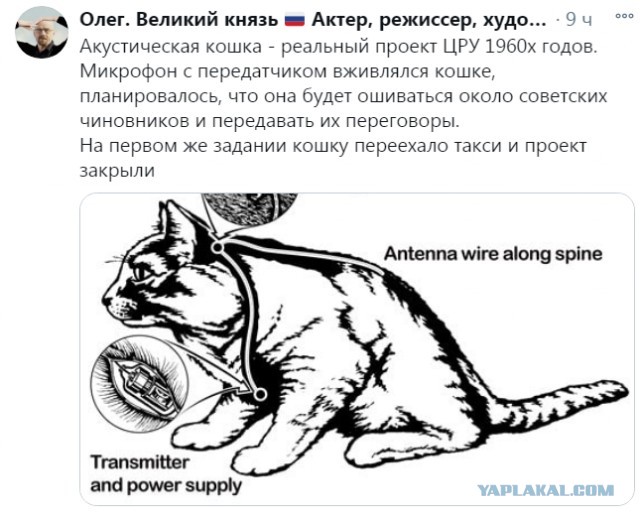Бредзона 08.12.2020