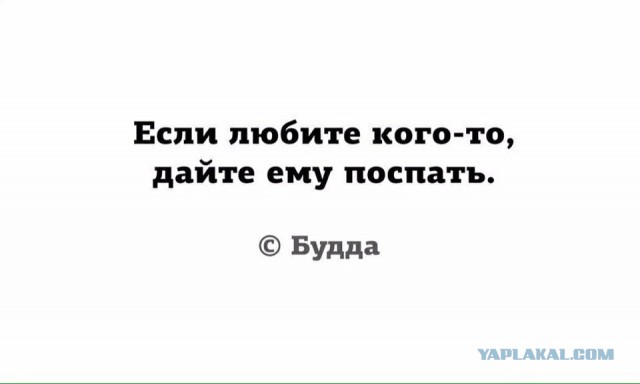 Свинегрет: картинки, надписи и прочее на 08.01.21 или №29