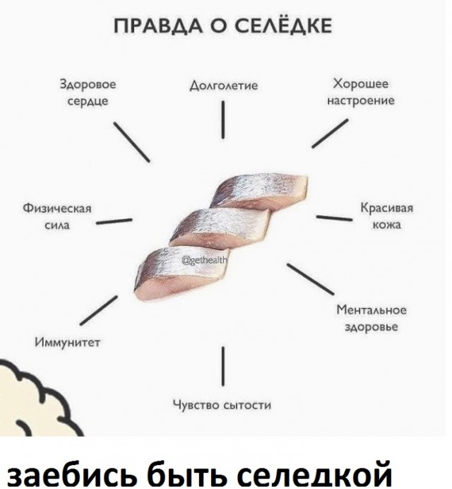 Бредзона 21.02.21