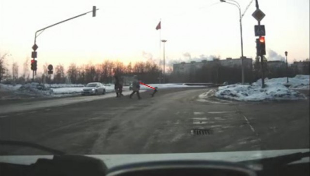 Собака переходит дорогу...