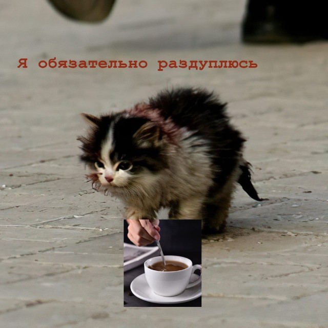 Картинки и мемы для настроения 018